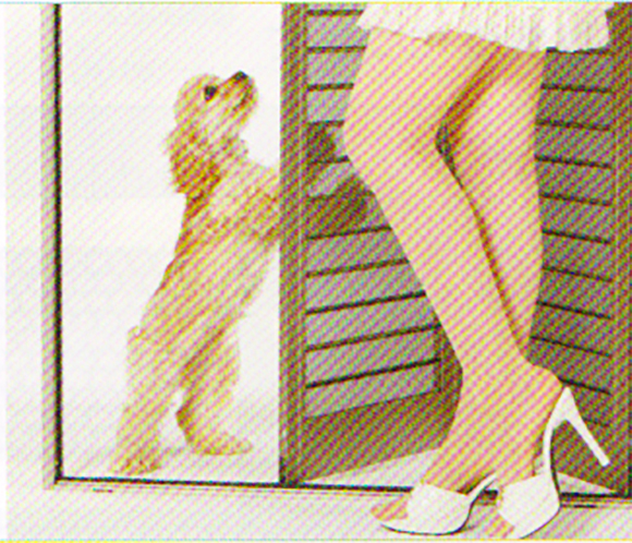 リーブの特徴 通風部分に強固な金属製パネルを使用